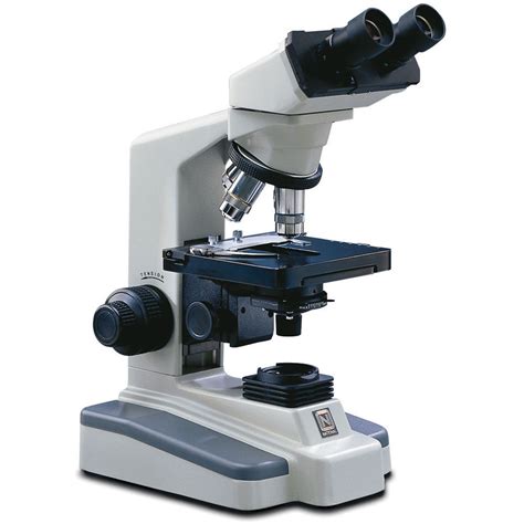 What Is a Compound Microscope?
